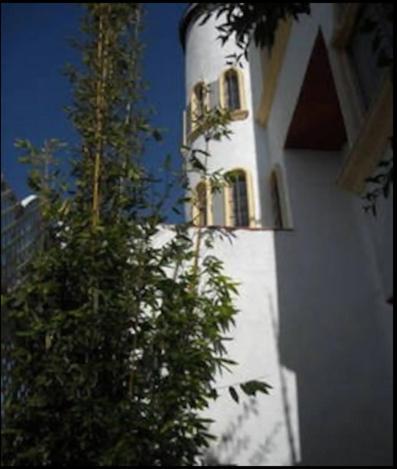 Welcome To Casa Viva Mexico 3-Bedrooms 2-Bathroms 6-Guests Close To Shoping Center & Beach Tijuana Kültér fotó